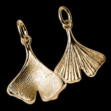 Laden Sie das Bild in den Galerie-Viewer, Ginkgo