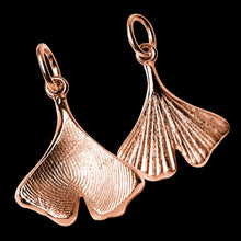 Laden Sie das Bild in den Galerie-Viewer, Ginkgo